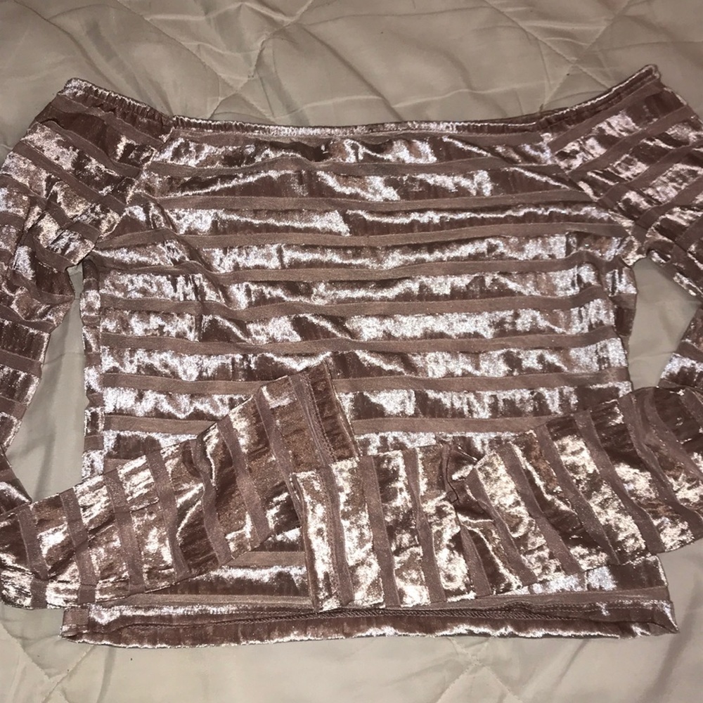 Forever 21 Velvet and Sheer Top